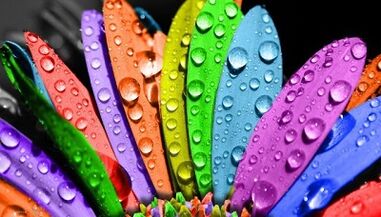 kako smršati na dijeti sa 6 latica